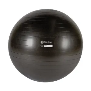 Studio Series Fitness Balls